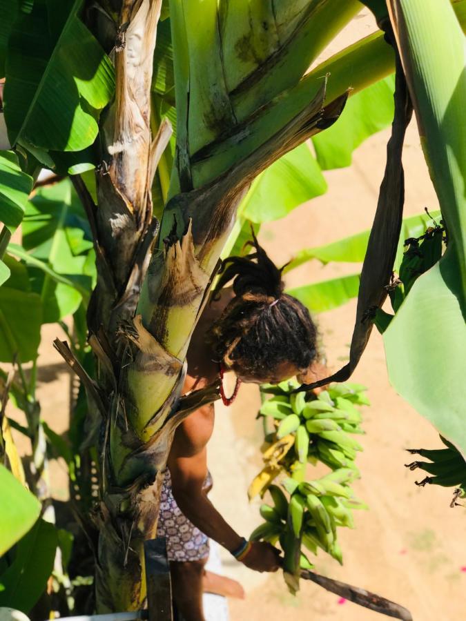 Pousada Tangerina Icarai  Luaran gambar